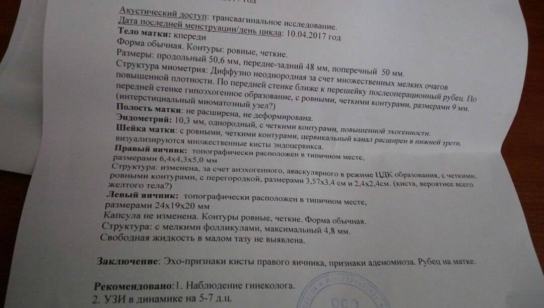Может ли узи показать беременность на 1 неделе в самом ее начале, что можно увидеть на фото?