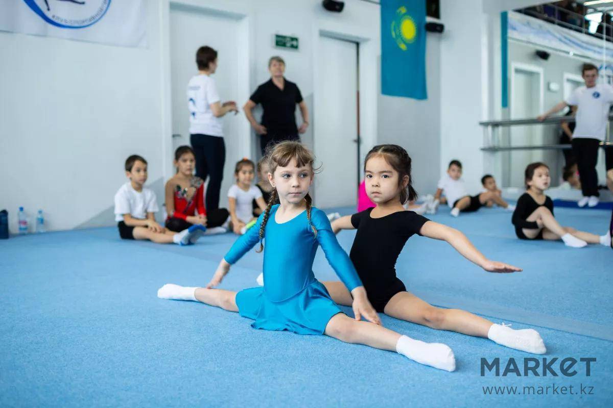 12 спортивных секций в зале для мальчика 4-7 лет – в какой спорт отдать ребёнка?