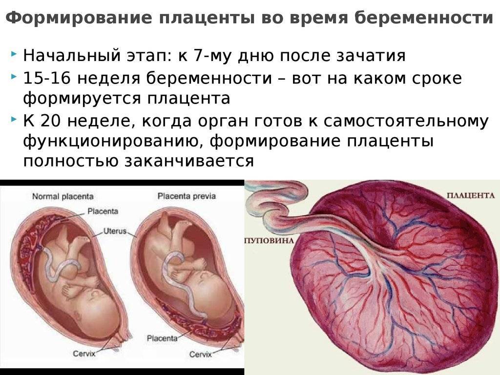 Нарушение кровотока при беременности и последствия для ребенка