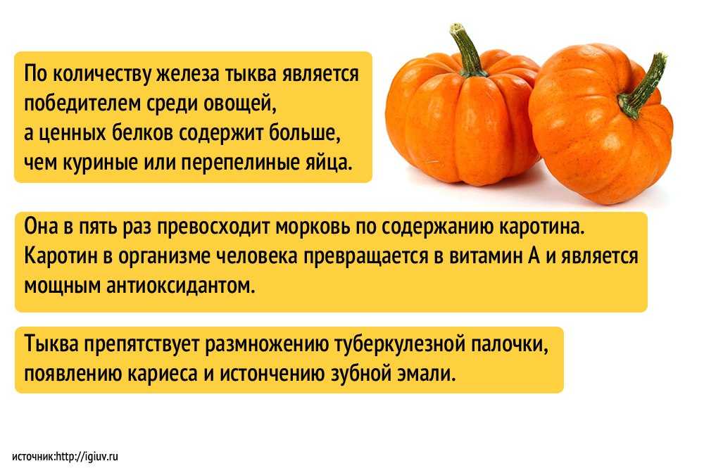 Тыква при грудном вскармливании малыша: можно ли этот овощ, каши и соки из него при гв, каково мнение доктора комаровского, а также когда вводить ребенку в прикорм?
