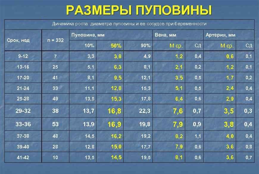 Пуповина