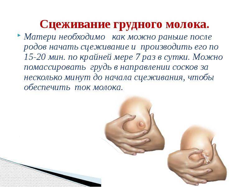 Расцеживание при лактостазе: анализы, консультация, методика проведения осмотра и необходимая подготовка | услуги клиники «проксима» (г. сочи)