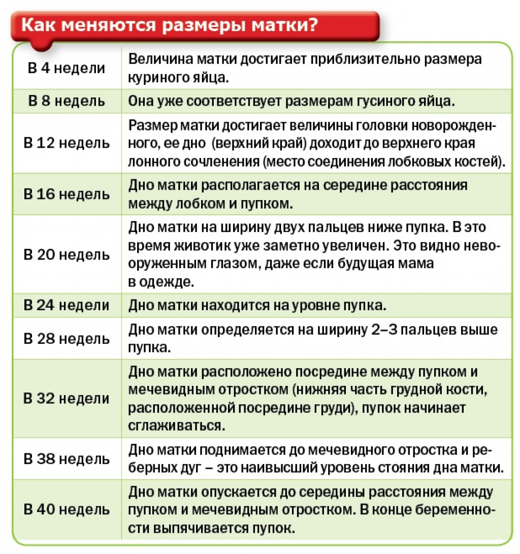 ᐉ можно ли самому нащупать беременность. как по шейке матки определить беременность - ➡ sp-kupavna.ru
