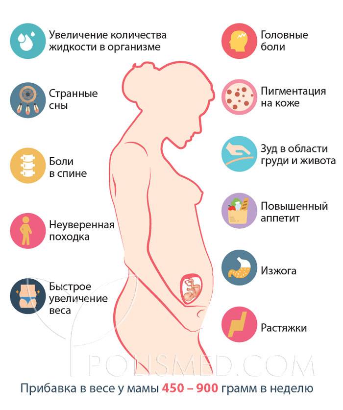 Грудь при беременности: когда начинает и перестает болеть / mama66.ru