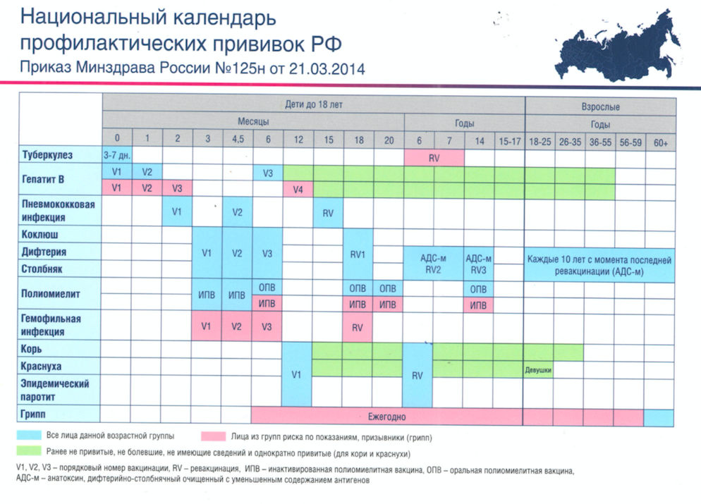 Сколько делать ревакцинацию. Национальный календарь прививок 2021 Россия таблица. Прививочный календарь для детей 2021. Календарь прививок для детей в России 2021 национальный календарь. Календарь профилактических прививок на 2021.