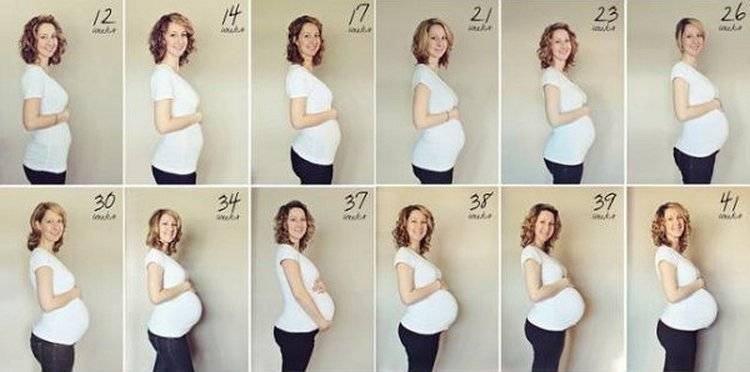 Большой живот на ранних сроках беременности: причины и тревожные симптомы