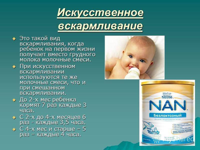Искусственное вскармливание: режим дня новорожденных в 1, 2, 3, 4 месяцев и старше, плюсы и минусы ив, виды смесей / mama66.ru