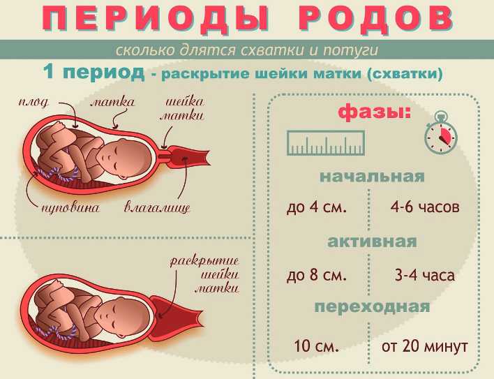 Почему роды начинаются ночью, в какое время суток обычно чаще всего бывают схватки?