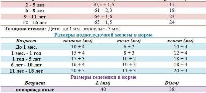 Узи селезенки детей: размеры органа в норме, причины отклонений в разном возрасте