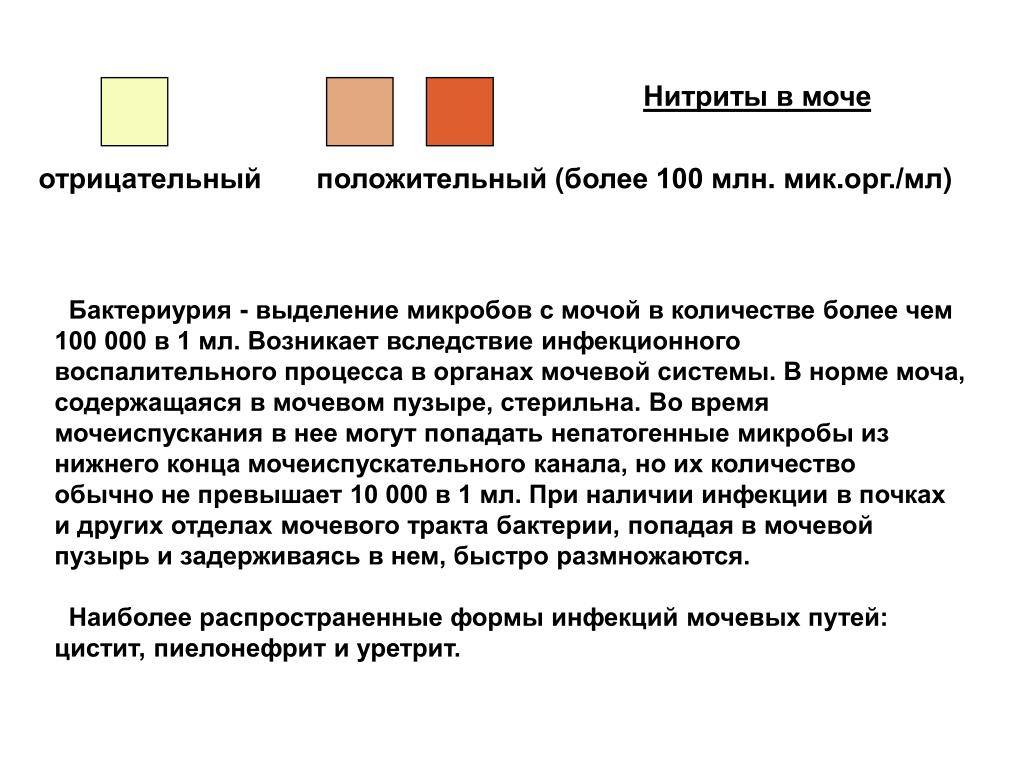 Нитриты в моче: что это значит, причины, лечение | merilin-clinic.ru