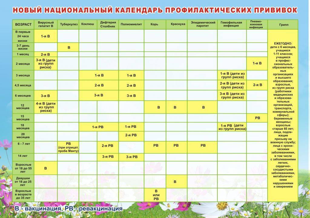 Календарь прививок для детей – что нужно знать родителям