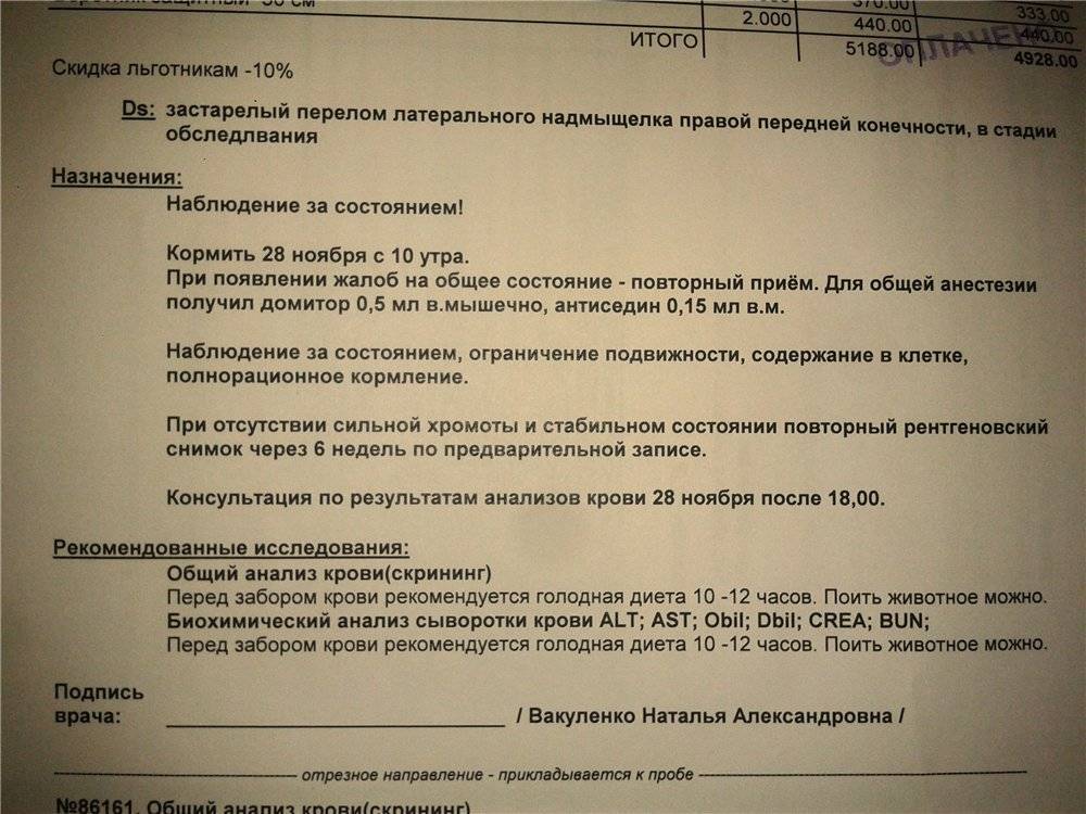 Можно ли есть перед скринингом 1 триместра беременности, что еще нужно сделать, чтобы подготовиться?