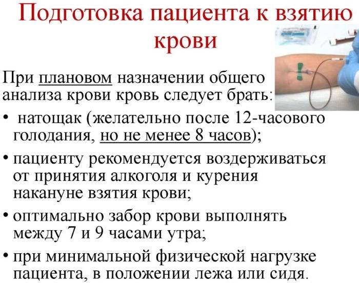 Общий анализ крови из пальца нужно сдавать натощак или нет, можно ли кормить детей перед процедурой?