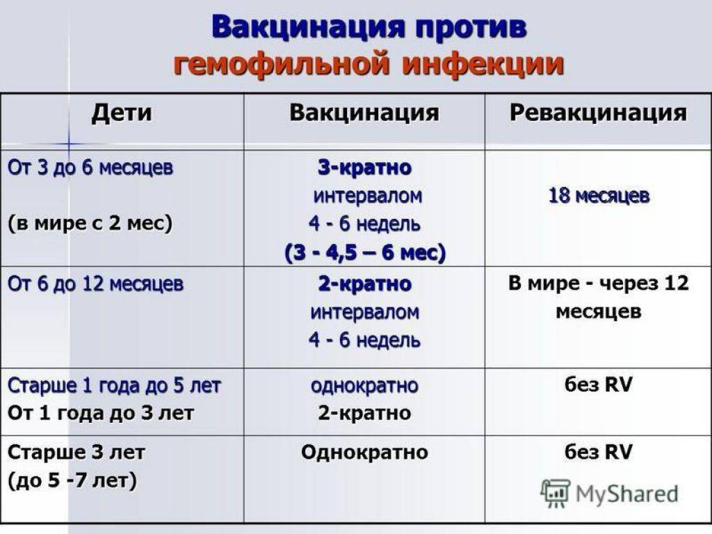 Вакцина против гемофильной палочки. клиника "уездный доктор" на рублево-успенском шоссе