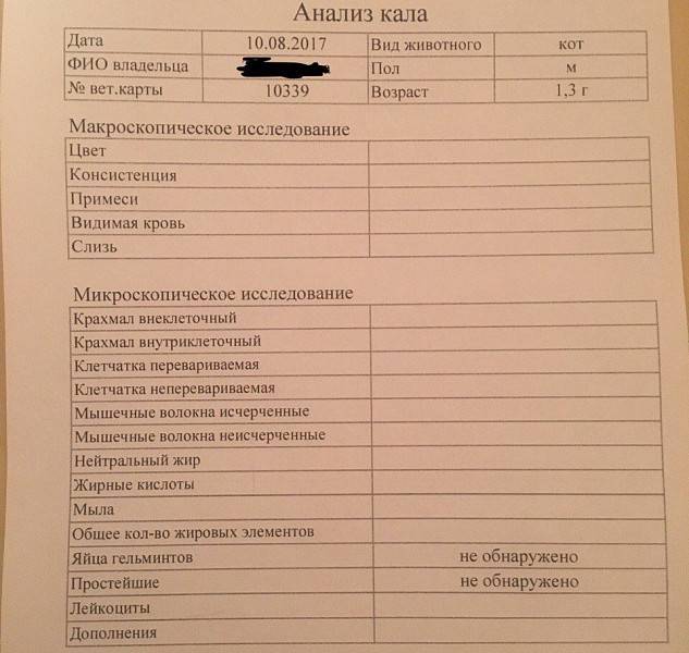 Правильная сдача анализа кала