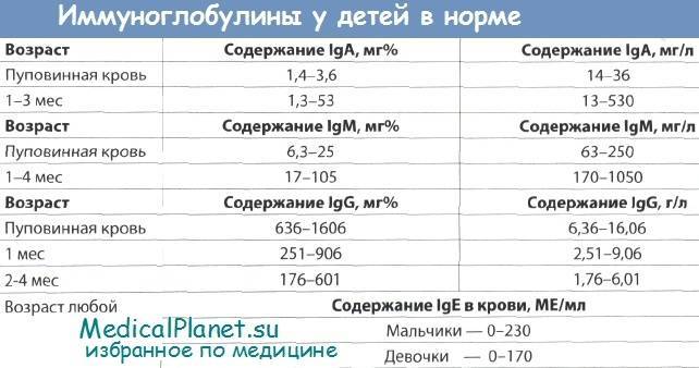Иммуноглобулин е: норма у детей в таблице, причины повышения и понижения, расшифровка