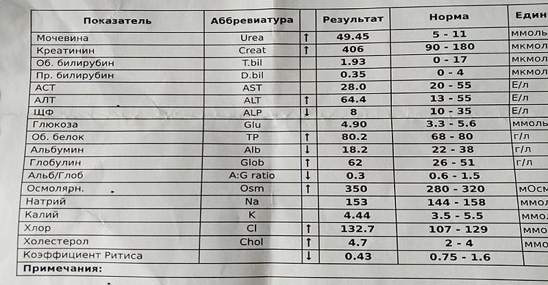 Креатинин в крови: нормы, причины повышения и понижения