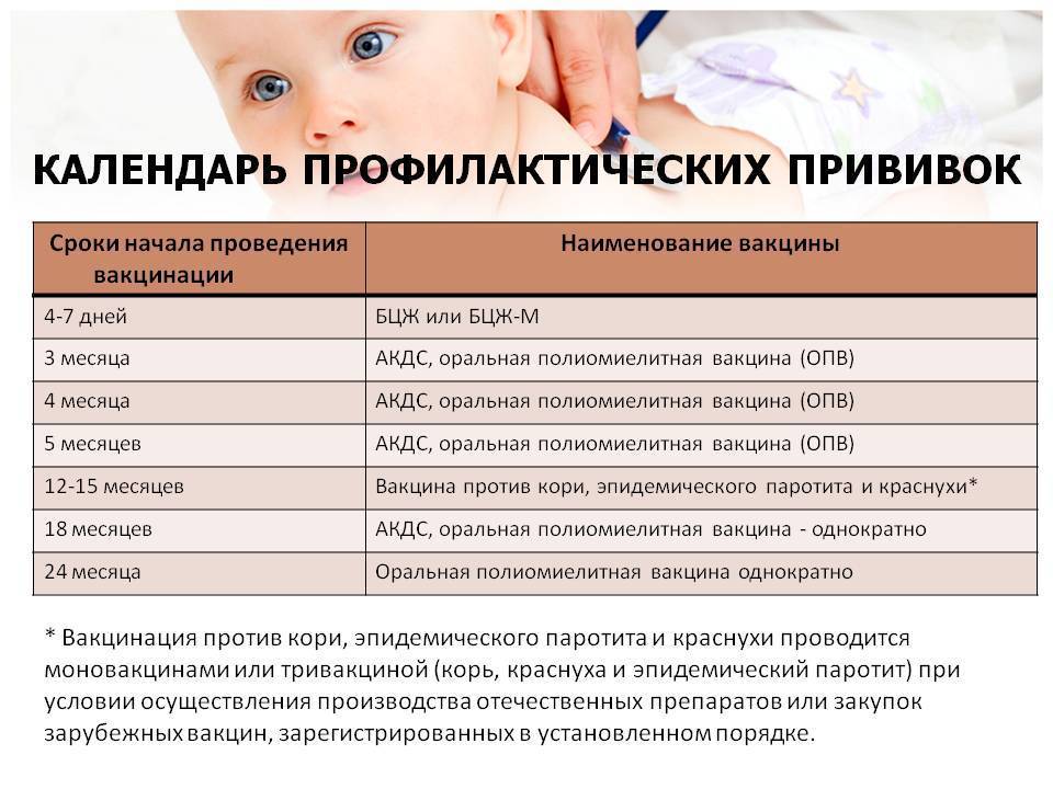Сколько раз и когда делают прививку от краснухи детям, как называется вакцина и хорошо ли переносится ребенком?