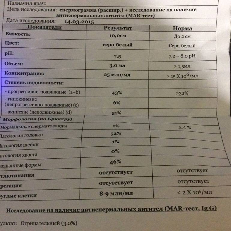 Способы улучшения спермограммы