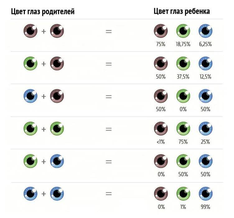 Цвет глаз у новорожденных: когда он меняется у грудничка и почему, как понять по таблице, какого оттенка будут глазки?