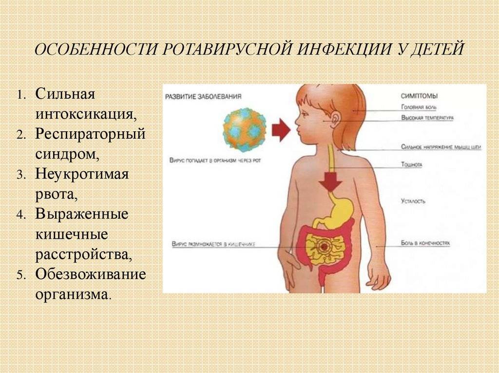 Ротавирус у грудничка: симптомы и лечение инфекции