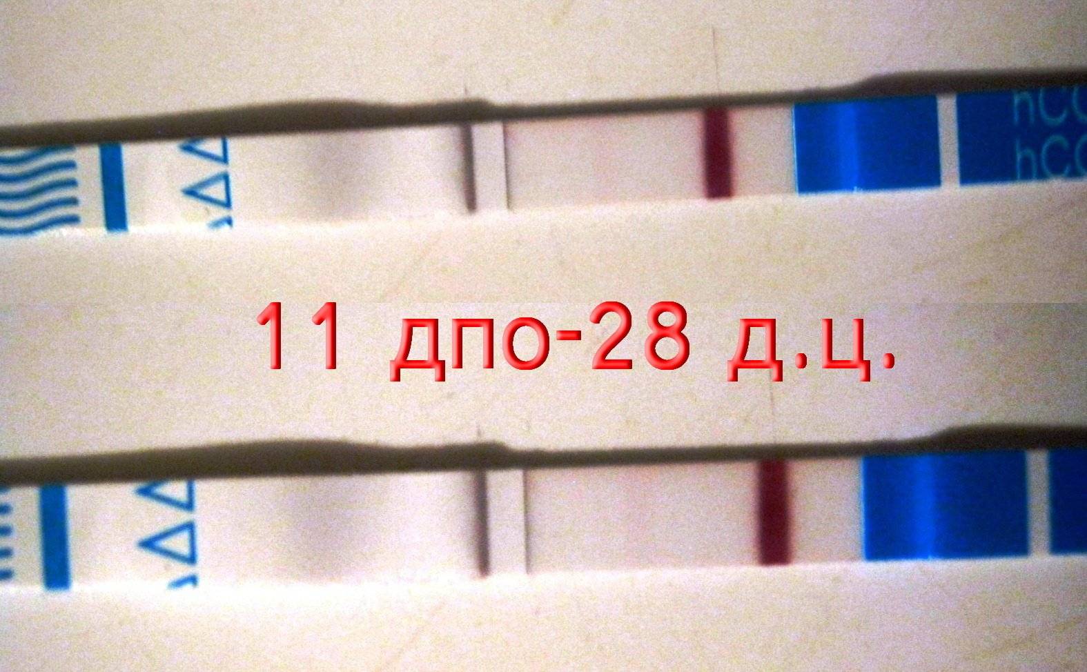 Что такое реагент на тесте беременности: особенности и применение