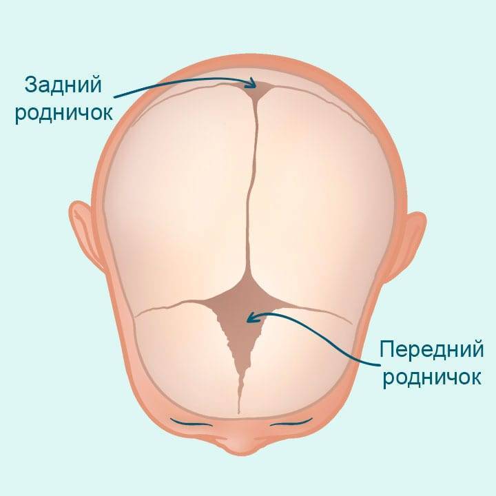 Пульсирует родничок ребенку 1 год