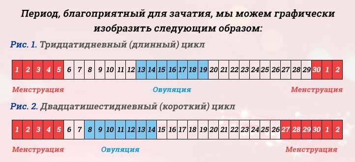 Вероятность забеременеть в день овуляции