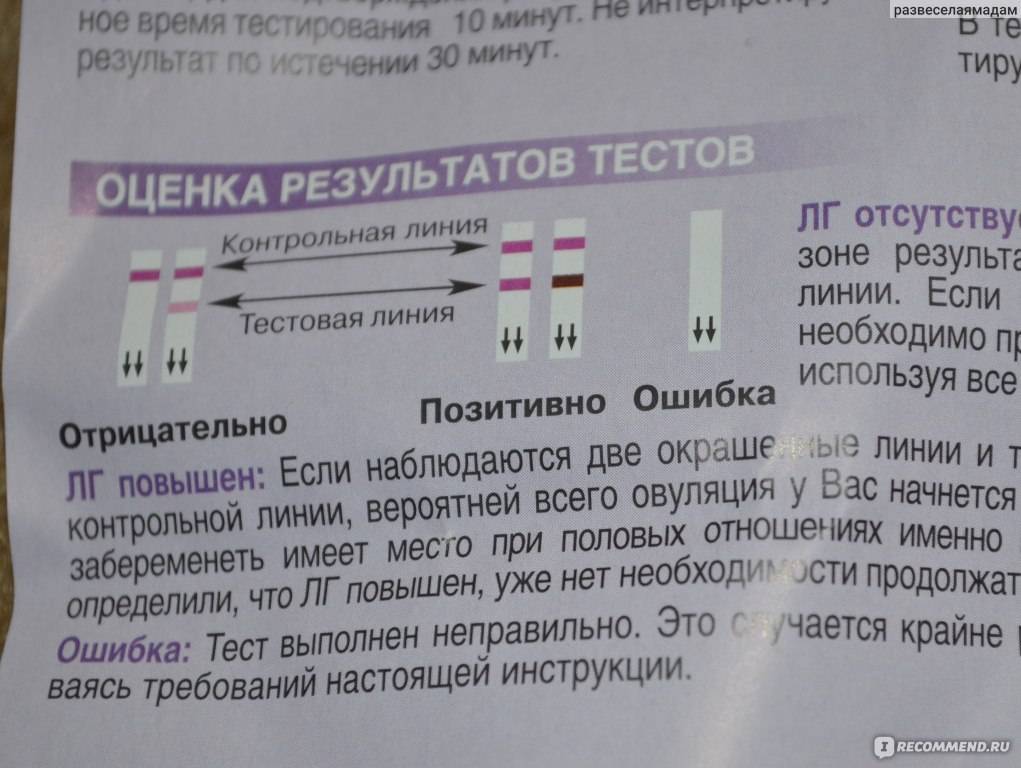 Тест на определение овуляции фраутест: инструкция по применению и достоверность результатов