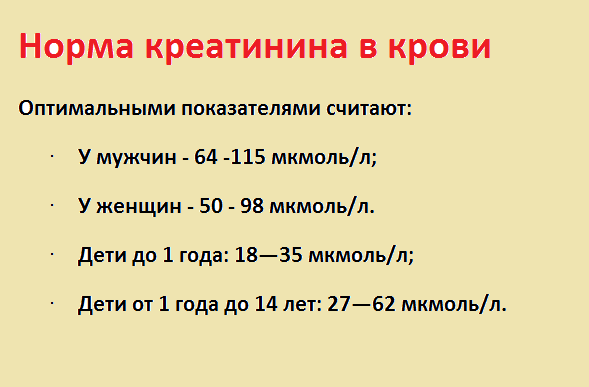 Все, что нужно знать о низком уровне креатинина