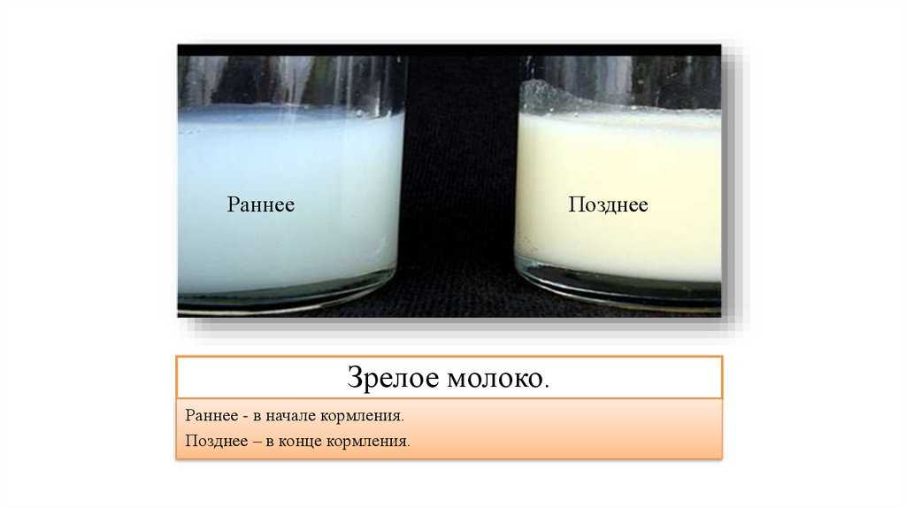 Какого цвета должно быть грудное молоко