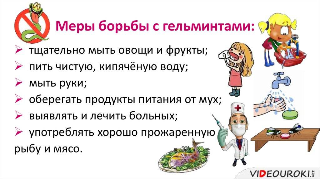 Как узнать есть ли глисты у человека ?