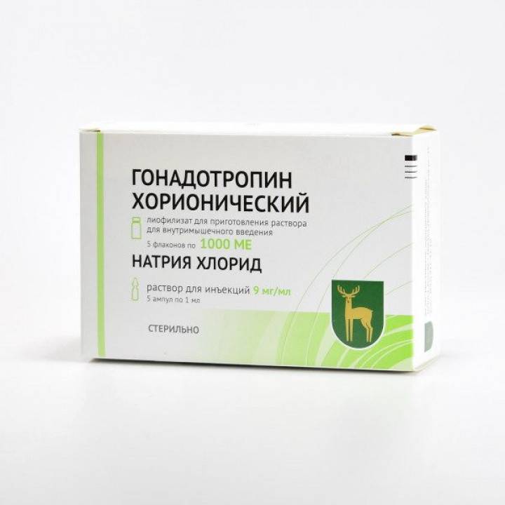 Гонадотропин хорионический для мужчин — инструкция по применению лекарственного средства