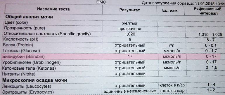 Повышенный билирубин у новорожденных 👶: причины и последствия, норма показателя в анализе у детей