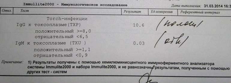 Токсоплазмоз при беременности