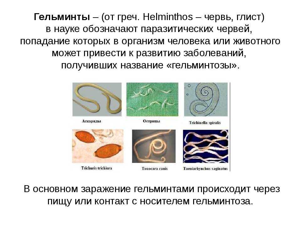 Глисты (гельминтозы) у детей - причины, симптомы, диагностика и лечение