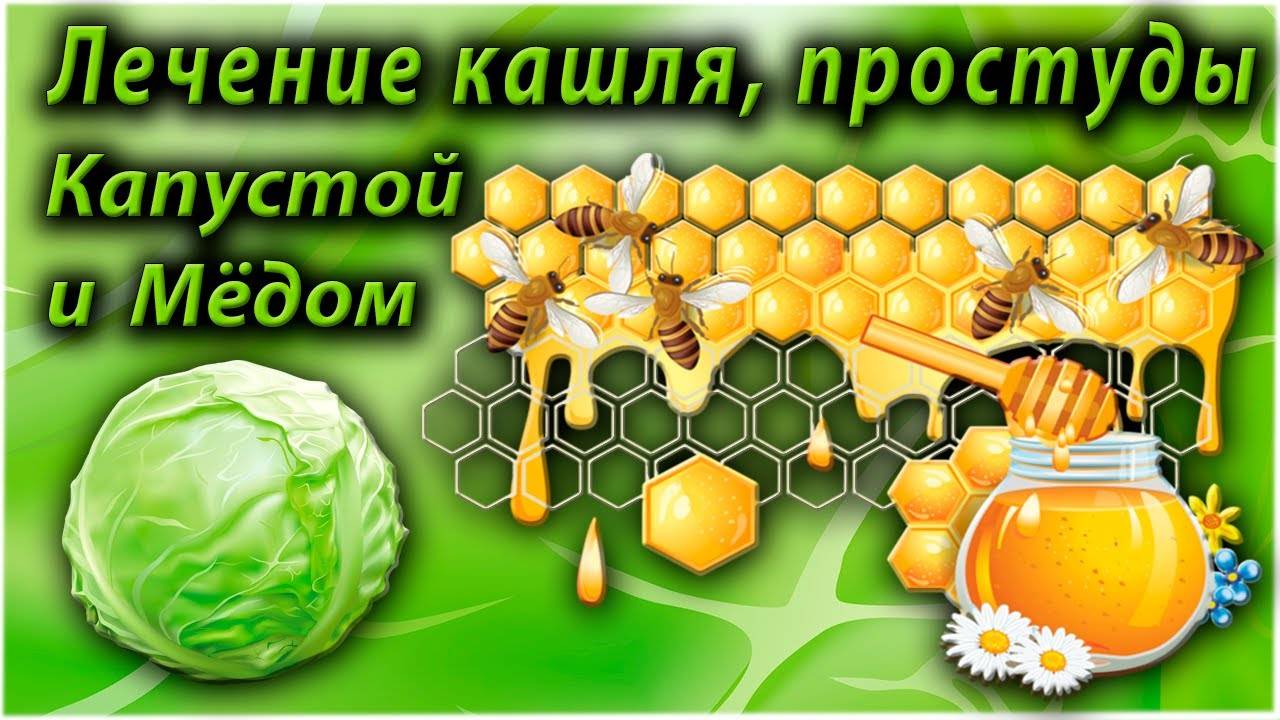 Медовый компресс от кашля ребенку и взрослому, схема постановки