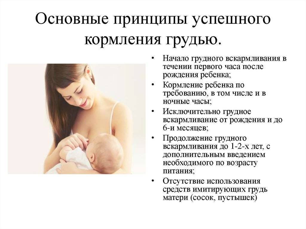 Признаки беременности при грудном вскармливании без месячных, а также общая информация о том, можно ли зачать ребенка и бывает ли овуляция при гв