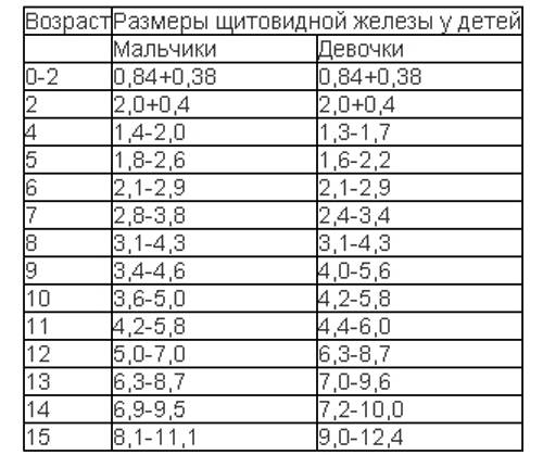 Норма объема щитовидной железы у женщин, мужчин и детей