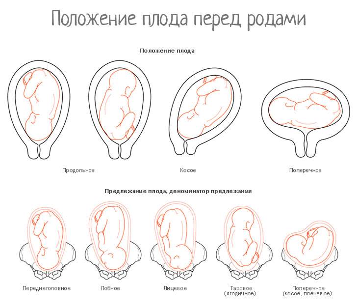 Как ведет себя ребенок перед родами, как по шевелению оценить состояние плода