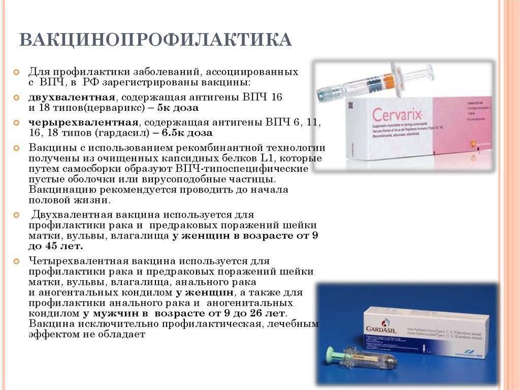 Вакцинация от впч в россии будет всеобщей. кому и зачем прививаться? - фарммедпром