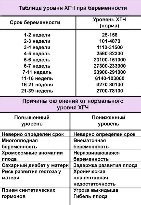 Как определить пол ребенка по сердцебиению — сердце
