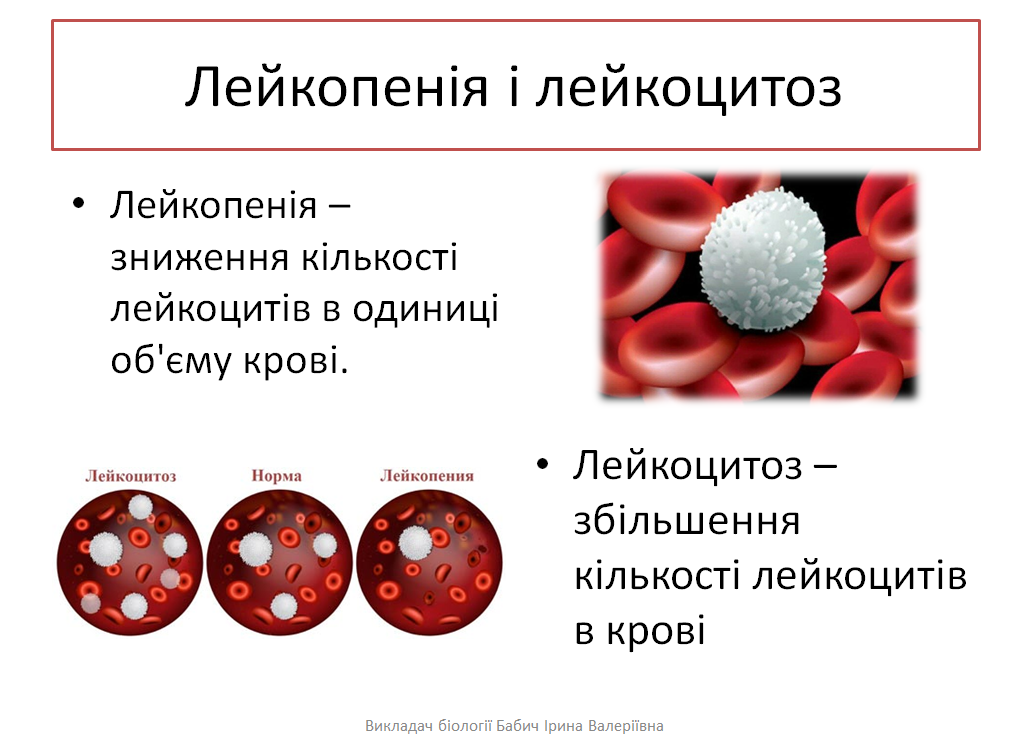 Лейкоциты в крови у ребенка понижены или повышены: причины, а также как это связано с количеством моноцитов, лимфоцитов, нейтрофилов, тромбоцитов, соэ, эритроцитов?