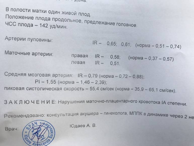 Допплерометрия: суть метода, проведение, показатели и интерпретация