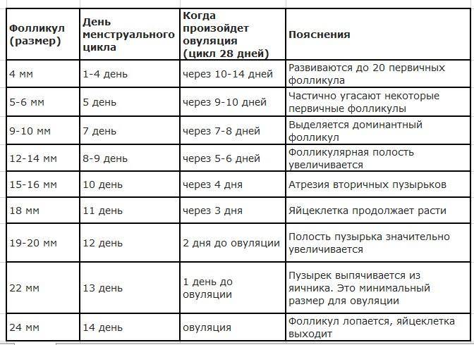 Как самостоятельно определить начало овуляции и не ошибиться - remedi