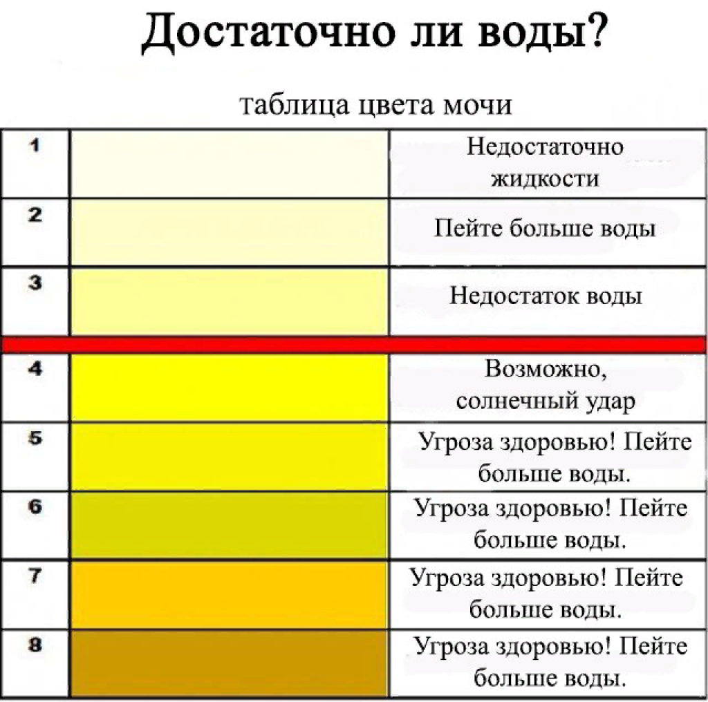 Цвет мочи у ребенка: причины темной, ярко-желтой и коричневой урины по утрам в 2-4 года