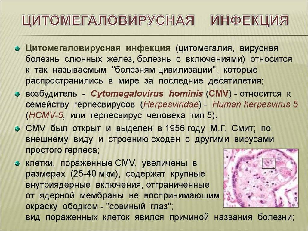 Герпес у детей