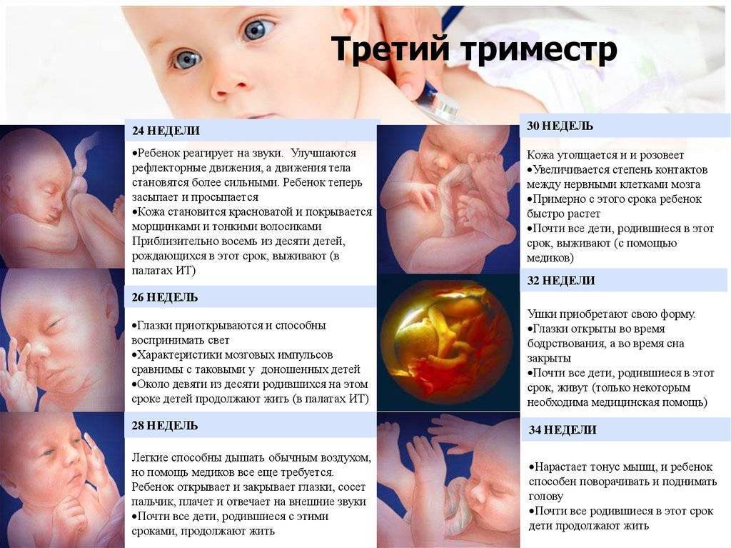 С какой недели ребенок считается доношенным: сроки и рекомендации мамам