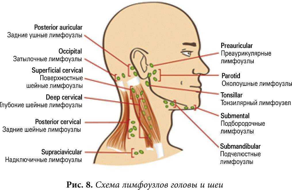 Причины и лечение шишки за ухом у ребёнка - medboli.ru