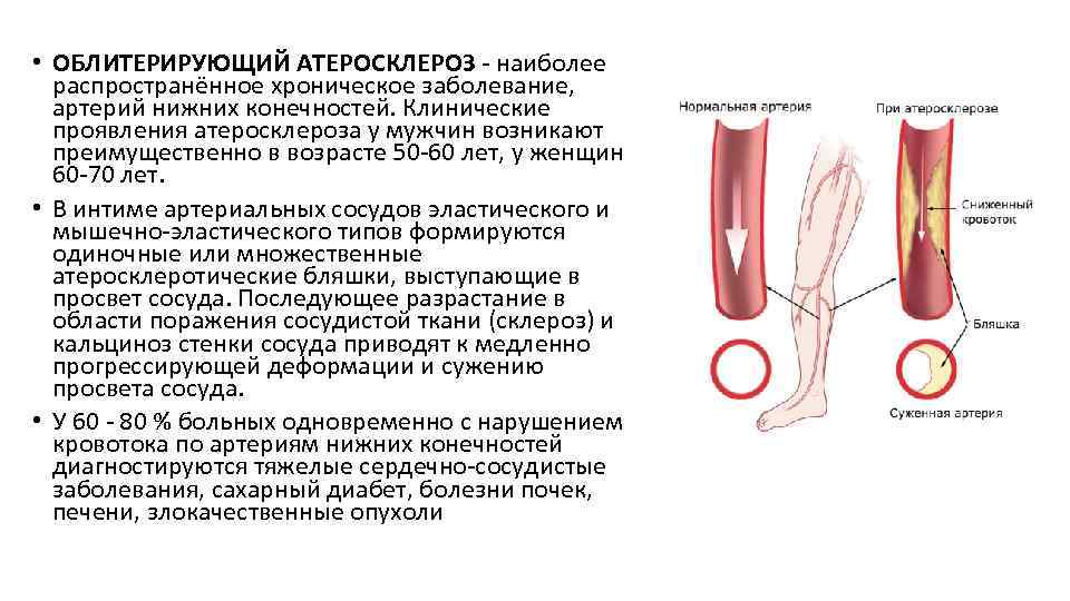 Из-за чего у ребенка при температурой становятся холодные руки